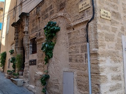 Visite des amis d'Alton