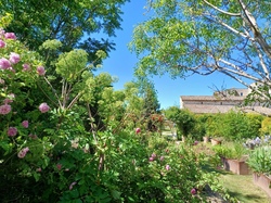 Visite des amis d'Alton