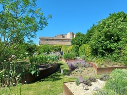 Visite des amis d'Alton